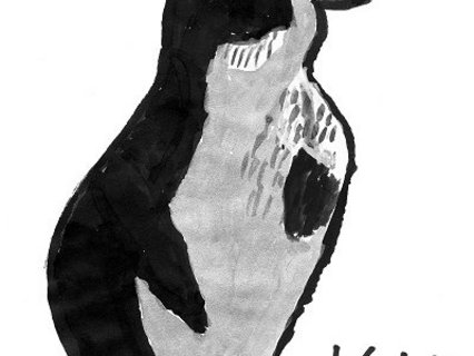 Pinguin, Wasserfarbe