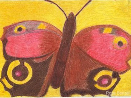 Schmetterling, Zeichnung, Buntstift